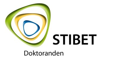 DAAD-STIBET-Logo